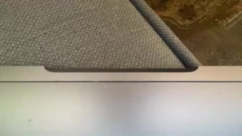 Snapshot of tiggertown chatting on 10-01-25, 10:27 Londonlad online show from 10-01-25, 10:27