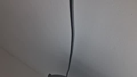 tiko392 online show from 04-10-26, 10:20