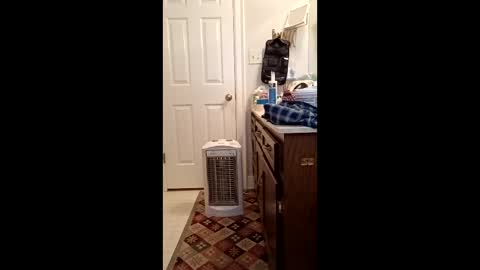 timb800000 online show from 01-11-26, 03:28