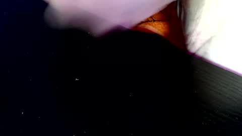 timer08230823 online show from 04-19-26, 07:51