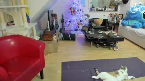 Tiny online show from 12-03-25, 04:31