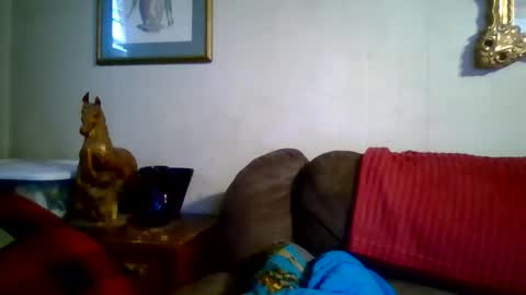 Vols online show from 01-07-26, 09:28