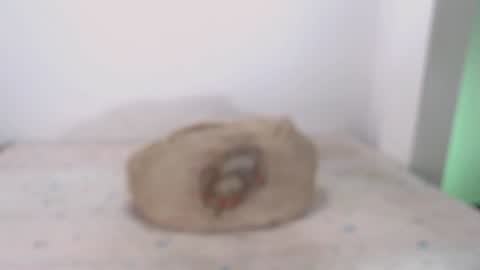 David online show from 02-07-25, 09:16