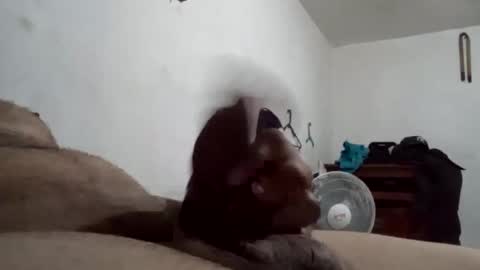 tobe557337 online show from 12-17-24, 07:29