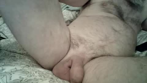 toddbells online show from 02-13-26, 03:19