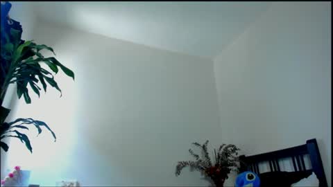 Snapshot of tokyo_girls chatting on 07-28-26, 07:39 Tokyo online show from 07-28-26, 07:39