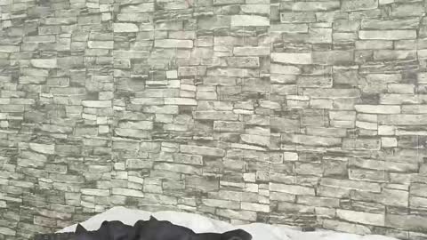 Tokyo online show from 01-05-26, 07:39