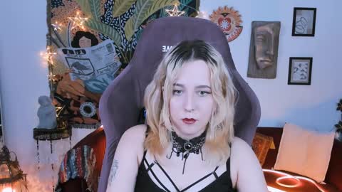 Snapshot of tollimoll chatting on 01-17-25, 11:49 Tolli Moll online show from 01-17-25, 11:49