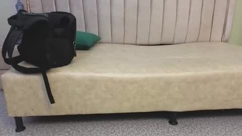 Tomas online show from 03-29-26, 08:03