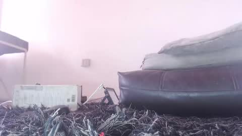   Thomas    online show from 02-26-26, 06:07