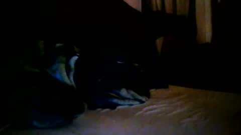 Snapshot of tommy_mackz chatting on 03-02-26, 05:08 tommy mackz online show from 03-02-26, 05:08