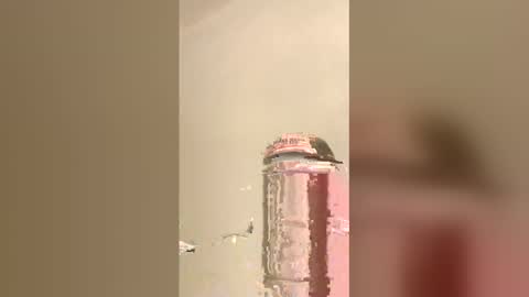 Snapshot of tommygun4969 chatting on 02-05-26, 12:37 tommygun4969 online show from 02-05-26, 12:37