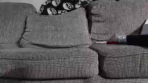 Snapshot of tomnor13 chatting on 03-09-26, 05:22 tomnor13 online show from 03-09-26, 05:22