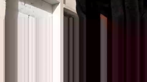 tonguefuckingyourass online show from 10-30-25, 09:44