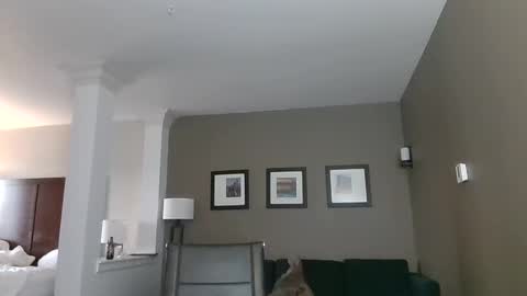 toomuchsmoke online show from 02-06-25, 12:22