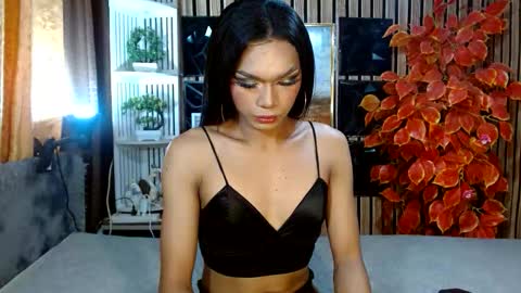 toptrans venice online show from 02-20-26, 06:26