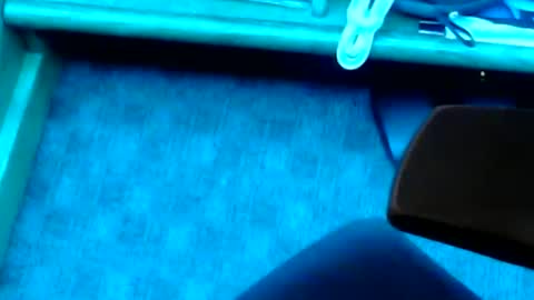 tornne online show from 02-02-25, 01:19