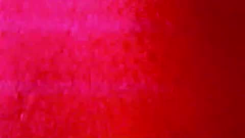 tornne online show from 03-31-26, 11:05