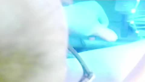 tornne online show from 04-02-26, 12:14