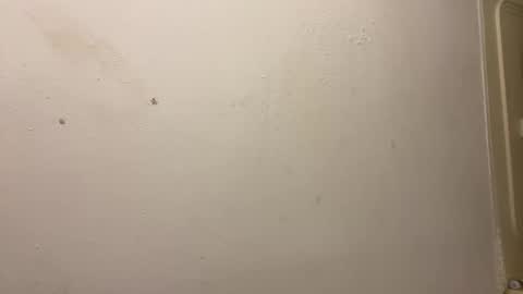 Snapshot of toronto5656 chatting on 03-03-25, 03:31 toronto5656 online show from 03-03-25, 03:31