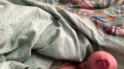 tos12345 online show from 11-21-25, 12:15