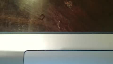 totxxx335 online show from 12-15-25, 08:57