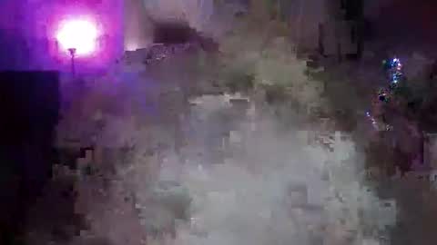 Snapshot of transgirl005 chatting on 11-10-25, 10:03 transgirl005 online show from 11-10-25, 10:03