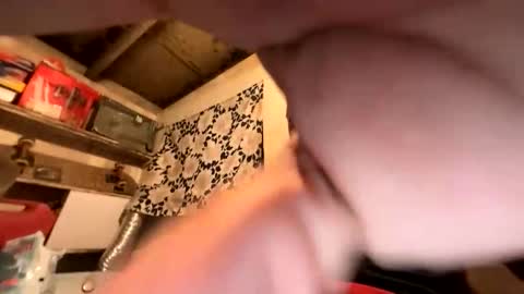 trees559 online show from 02-26-26, 06:56