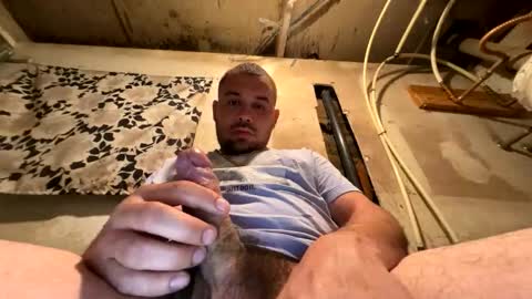 trees559 online show from 03-17-26, 05:33