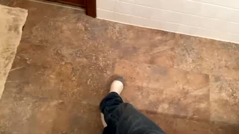 Snapshot of trevgrad08 chatting on 12-08-24, 11:19 Mystic allusion online show from 12-08-24, 11:19