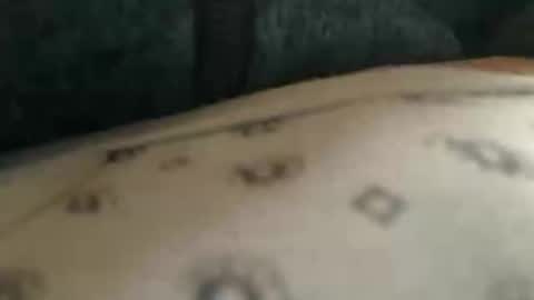 trobelle online show from 11-25-25, 10:37