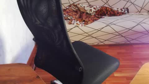 Snapshot of trone41 chatting on 02-03-26, 07:02 I POST MY FUCKING VIDEOS AND PICS online show from 02-03-26, 07:02