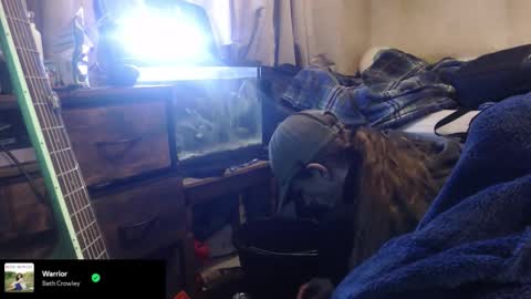 Snapshot of trooper0690 chatting on 02-12-26, 06:14 trooper0690 online show from 02-12-26, 06:14