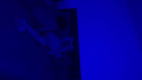 TrophyTroy online show from 03-05-25, 03:51