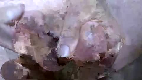 troy1965 online show from 04-21-26, 05:03