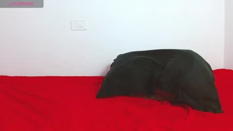 sebas online show from 06-28-26, 06:03