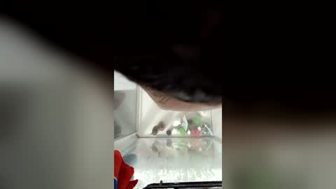 troyacowen1982 online show from 07-18-26, 07:56