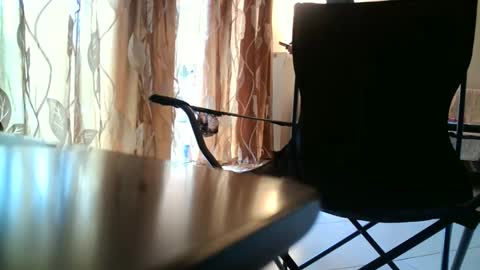 truble_again online show from 05-18-26, 05:46