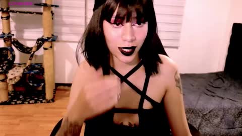 Cait online show from 12-20-25, 04:41