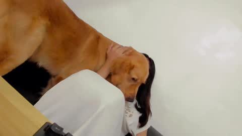 ts_danielahugecock_xxx online show from 12-31-24, 12:43