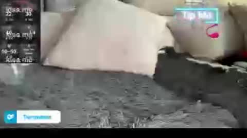 Snapshot of tsfoxx chatting on 07-13-26, 04:43 tsfoxx online show from 07-13-26, 04:43