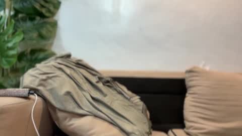 kendall online show from 09-17-25, 07:37