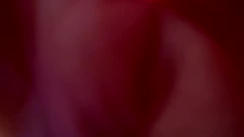 JULIETA  online show from 10-20-25, 01:06