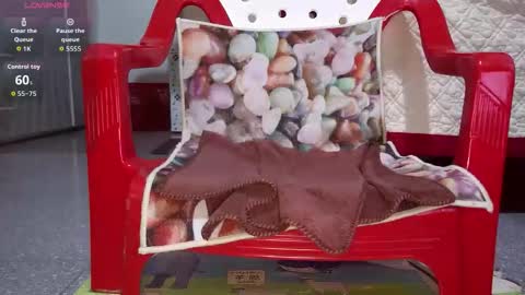Snapshot of tulip_sexxy chatting on 09-26-25, 12:03 tulip_sexxy online show from 09-26-25, 12:03