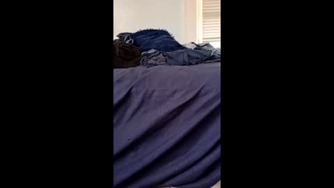 twe4kseeker online show from 04-21-26, 08:55