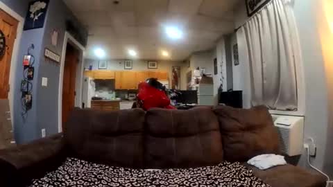 Snapshot of twicethetease2 chatting on 02-08-26, 07:34 twicethetease2 online show from 02-08-26, 07:34