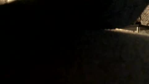 Snapshot of ukcock699196923 chatting on 11-02-25, 05:04 ukcock699196923 online show from 11-02-25, 05:04