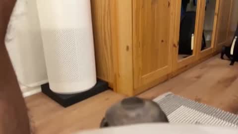 Umberto2015 online show from 12-04-24, 05:33