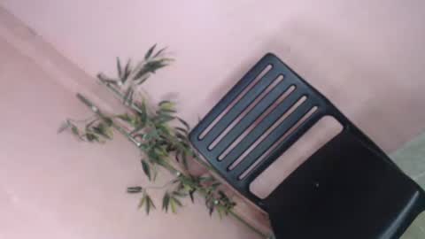 unknown_trans18 online show from 04-05-26, 11:24