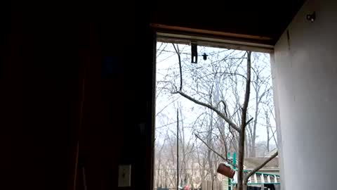 upforanything27 online show from 12-25-24, 06:41